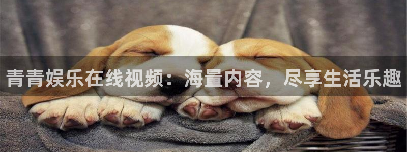 焦点娱乐2登录：青青娱乐在线视频：海量内容，尽享生活乐趣
