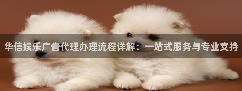 焦点娱乐4注册：华信娱乐广告代理办理流程详解：一站式服务与专业支持