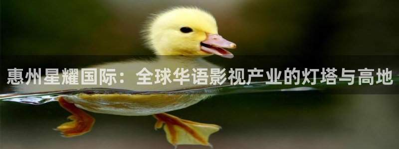 焦点娱乐体育和杏耀是哪个公司的：惠州星耀国际：全球华语影视产业的灯塔与高地