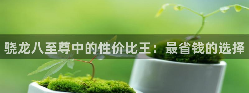 焦点娱乐平台注册账号：骁龙八至尊中的性价比王：最省钱的选择
