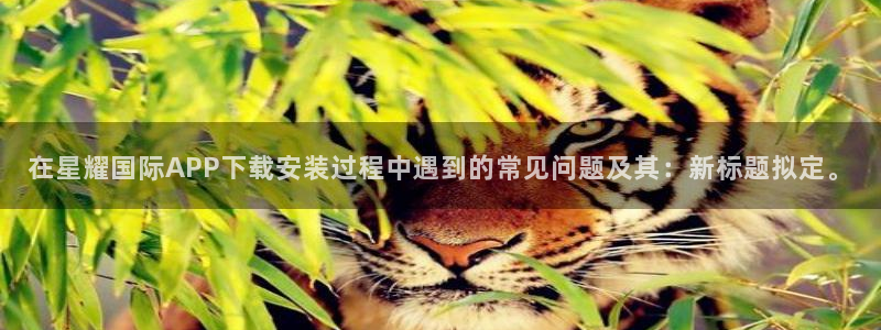 焦点娱乐注册登录入口：在星耀国际APP下载安装过程中遇到的常见问题及其：新标题拟定。