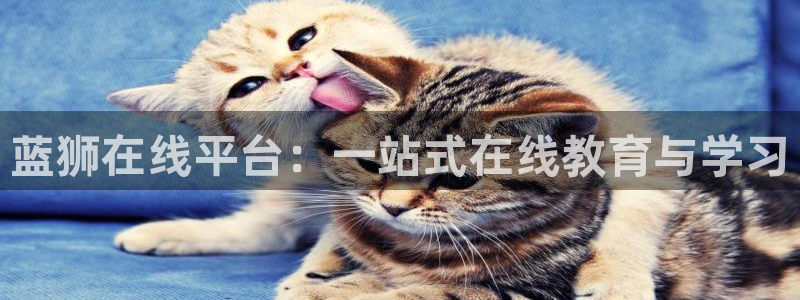 焦点娱乐：蓝狮在线平台：一站式在线教育与学习