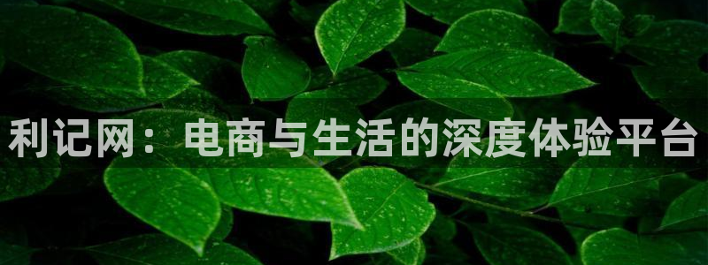 焦点娱乐2体育登录入口：利记网：电商与生活的深度体验平台