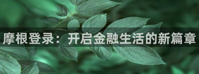焦点娱乐.ccmpc29官网版下载：摩根登录：开启金融生活的新篇章