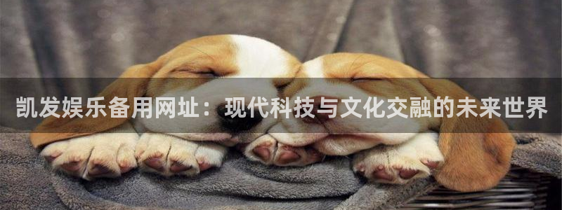 焦点娱乐体育和杏耀是哪个公司的：凯发娱乐备用网址：现代科技与文化交融的未来世界