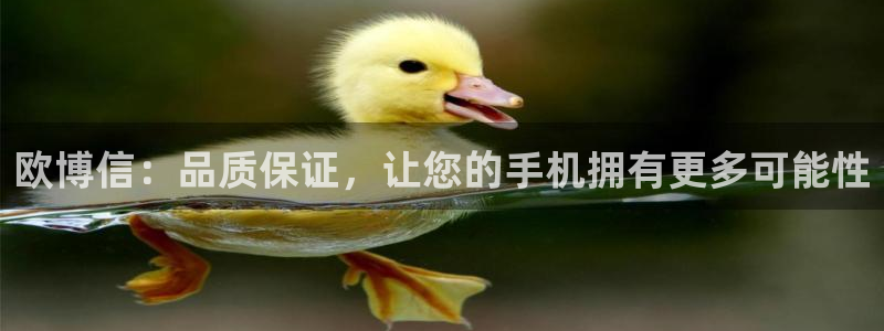 焦点娱乐招商：欧博信：品质保证，让您的手机拥有更多可能性
