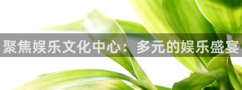 焦点娱乐体育官网入口登录：聚焦娱乐文化中心：多元的娱乐盛宴