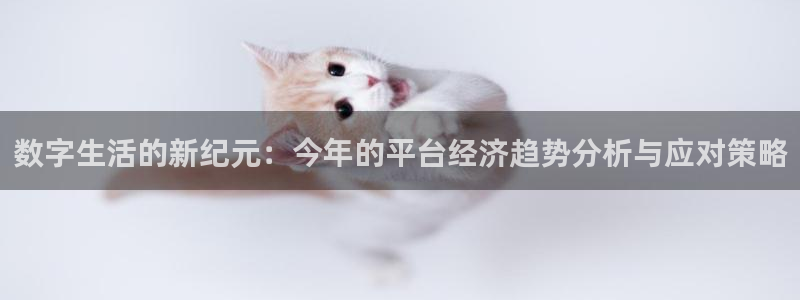 焦点娱乐登录网：数字生活的新纪元：今年的平台经济趋势分析与应对策略