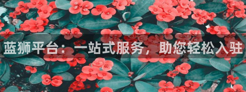 焦点娱乐网页版：蓝狮平台：一站式服务，助您轻松入驻