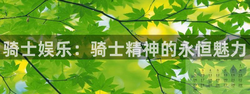 南宫焦点娱乐：骑士娱乐：骑士精神的永恒魅力