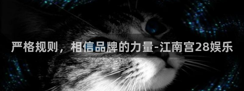 焦点娱乐登录网：严格规则，相信品牌的力量-江南宫28娱乐