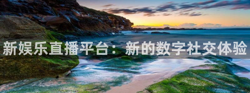 焦点娱乐注册：新娱乐直播平台：新的数字社交体验