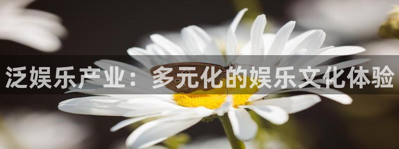 焦点娱乐官网地址：泛娱乐产业：多元化的娱乐文化体验
