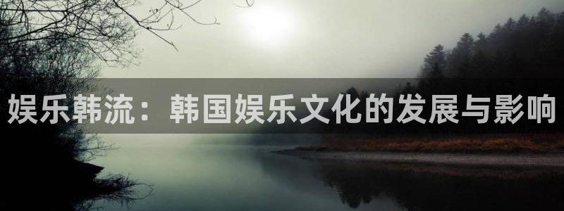 焦点娱乐电子有限公司