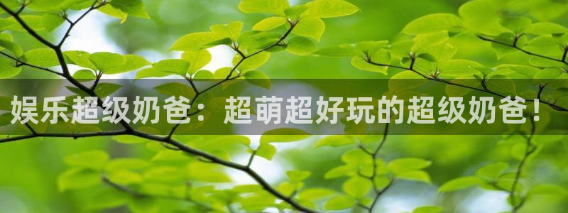 焦点娱乐凯捷平台注册链接：娱乐超级奶爸：超萌超好玩的超级奶爸！