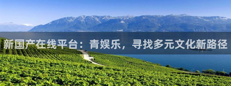 焦点娱乐是什么：新国产在线平台：青娱乐，寻找多元文化新路径