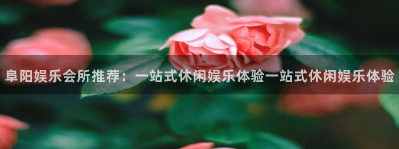 焦点娱乐平台：阜阳娱乐会所推荐：一站式休闲娱乐体验一站式休闲娱乐体验