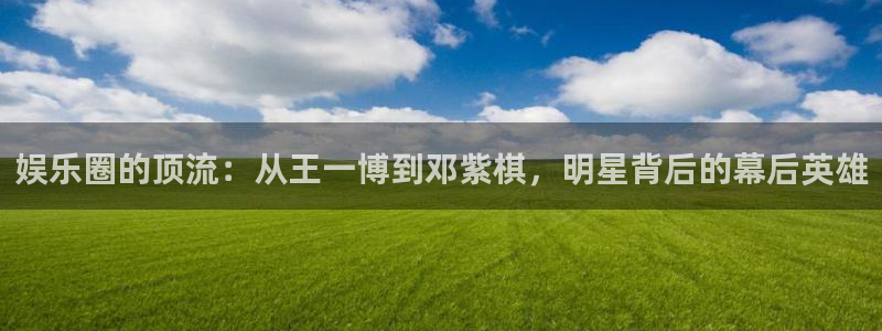 焦点娱乐零能源集团：娱乐圈的顶流：从王一博到邓紫棋，明星背后的幕后英雄