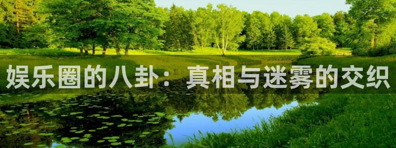 焦点娱乐集团股票：娱乐圈的八卦：真相与迷雾的交织