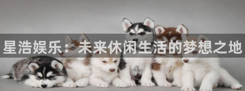 苹果版焦点娱乐下载安装：星浩娱乐：未来休闲生活的梦想之地