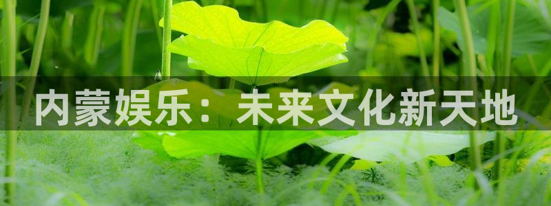 焦点娱乐体育游戏：内蒙娱乐：未来文化新天地