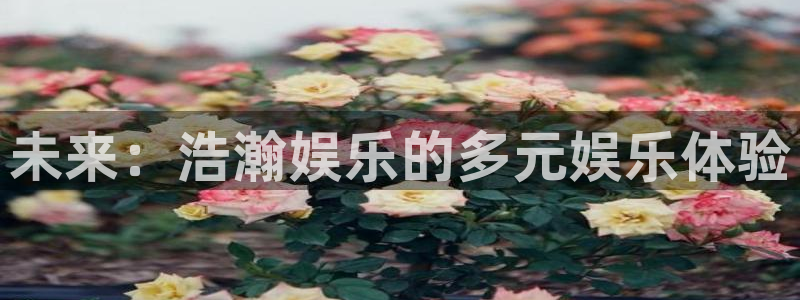 焦点娱乐登录：未来：浩瀚娱乐的多元娱乐体验