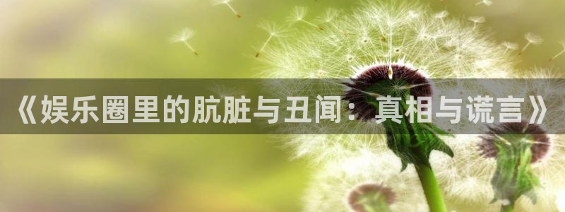 焦点娱乐3登录：《娱乐圈里的肮脏与丑闻：真相与谎言》