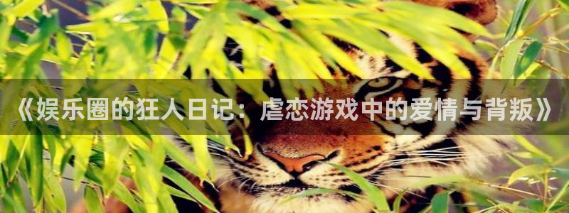 焦点娱乐注册官网入口：《娱乐圈的狂人日记：虐恋游戏中的爱情与背叛》