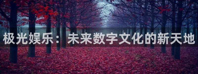 焦点娱乐3登录：极光娱乐：未来数字文化的新天地