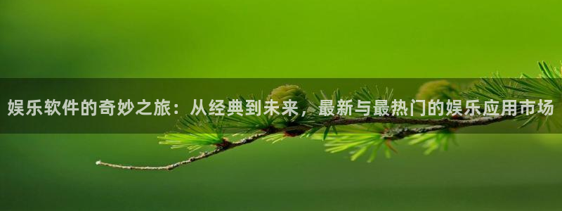 焦点娱乐代理：娱乐软件的奇妙之旅：从经典到未来，最新与最热门的娱乐应用市场