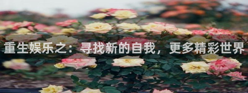 焦点娱乐体育网页版入口：重生娱乐之：寻找新的自我，更多精彩世界