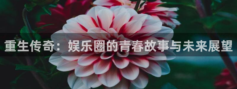 焦点娱乐3官网登录：重生传奇：娱乐圈的青春故事与未来展望