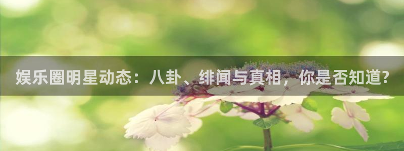 焦点娱乐电子游戏网页版：娱乐圈明星动态：八卦、绯闻与真相，你是否知道?