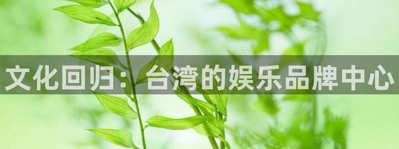 焦点娱乐手机客户端下载安装：文化回归：台湾的娱乐品牌中心