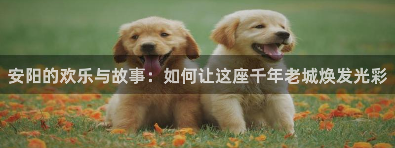 焦点娱乐能源：安阳的欢乐与故事：如何让这座千年老城焕发光彩