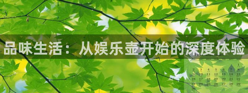 焦点娱乐股份：品味生活：从娱乐壶开始的深度体验
