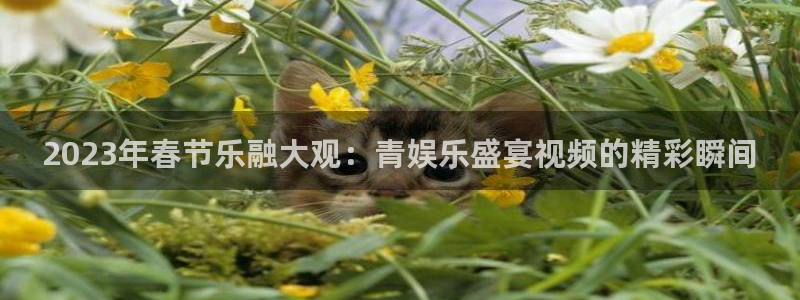 焦点娱乐平台在线注册：2023年春节乐融大观：青娱乐盛宴视频的精彩瞬间