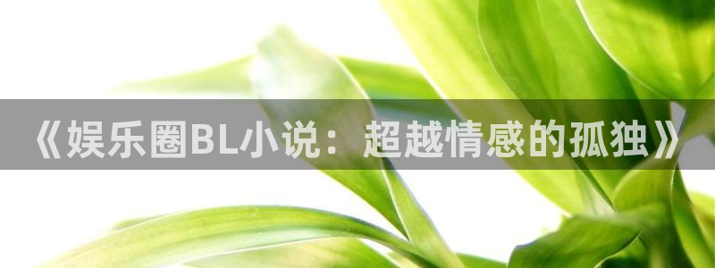 焦点娱乐是正规平台吗：《娱乐圈BL小说：超越情感的孤独》